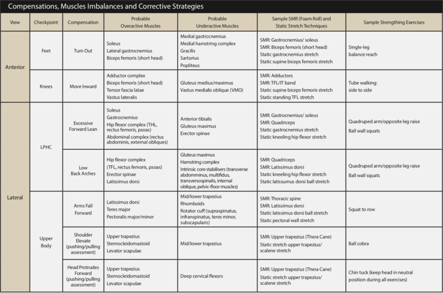 OHS Compensations, Muscle Imbalances, and Corrective Strategies