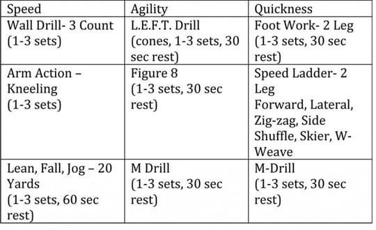 Microsoft Word - SAQ Grid.doc