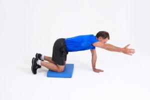 quadruped_arm_raise_finish-copy