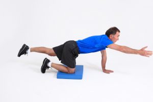 quadruped_armopposite_leg_raise_finish-copy