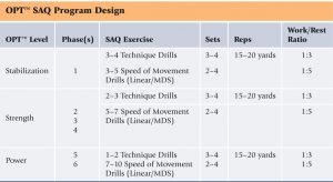 saq program design