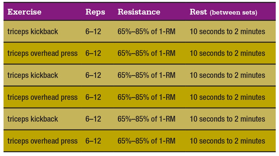 muscle-clock-chart-3