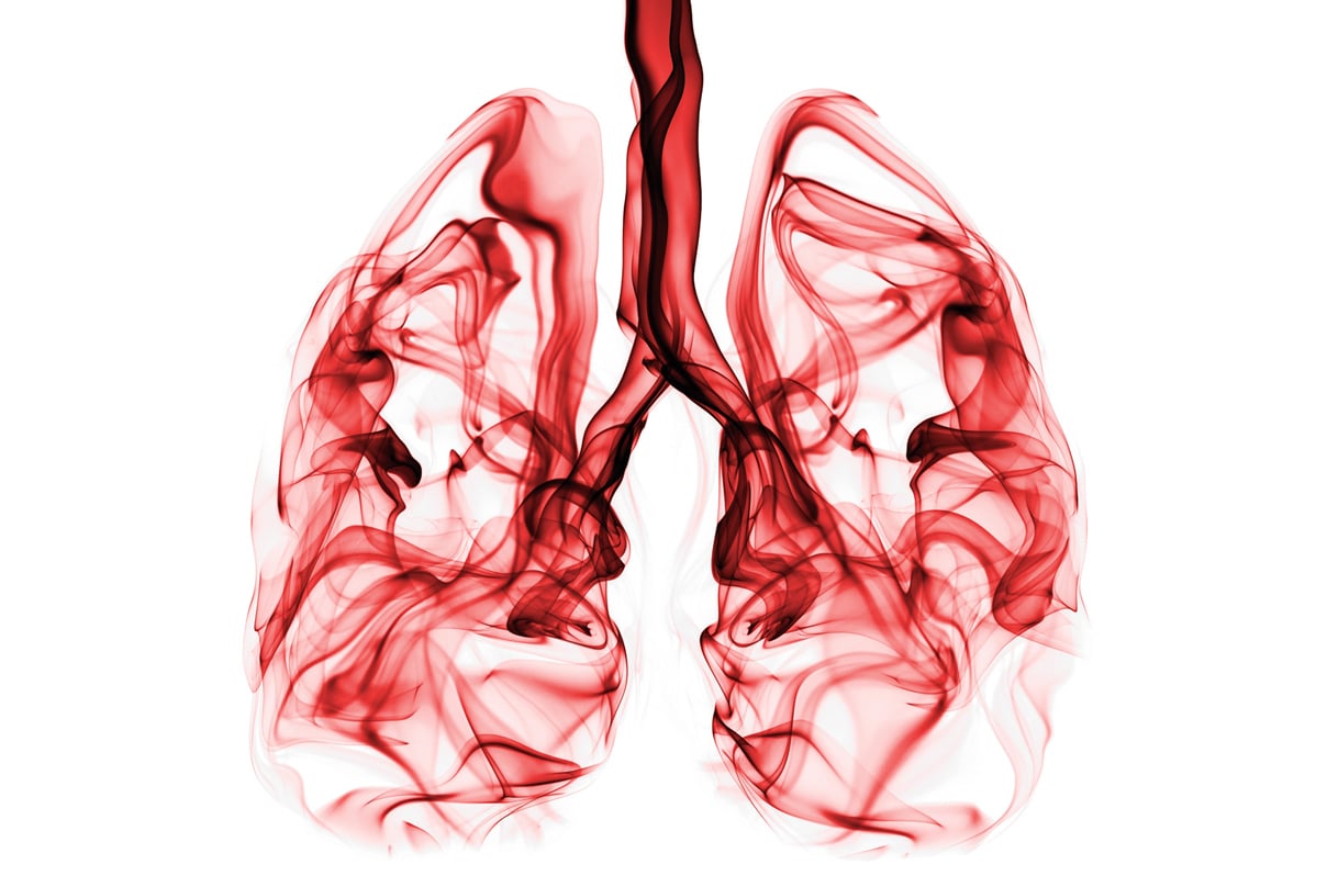 Lungs