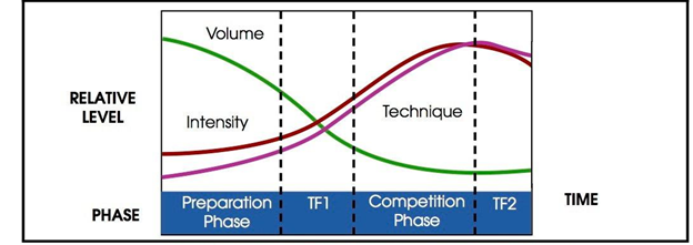 periodization model chart